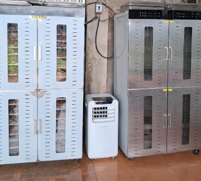 Máy sấy nhiệt độ thấp – Giải pháp tách ẩm nhanh, tiết kiệm điện cho chế biến thực phẩm hiện đại