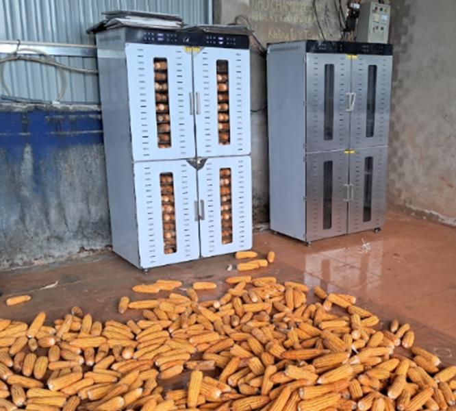 Sấy nhanh, tiết kiệm điện – Xu hướng mới với máy sấy gia đình thông minh năm 2026