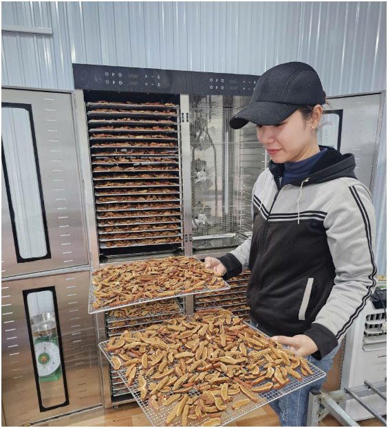 Thiết bị phúc an