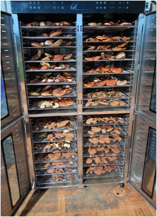 Thiết bị phúc an