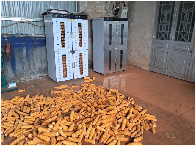 Thiết bị phúc an