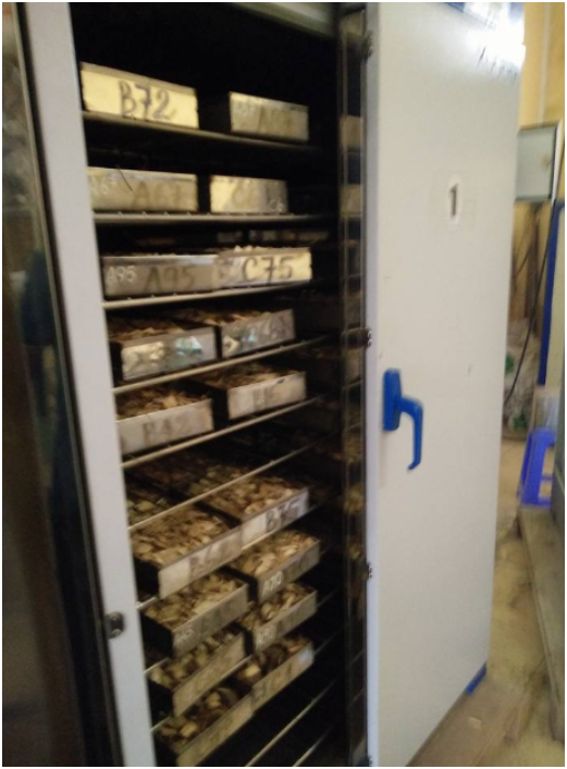 Thiết bị phúc an